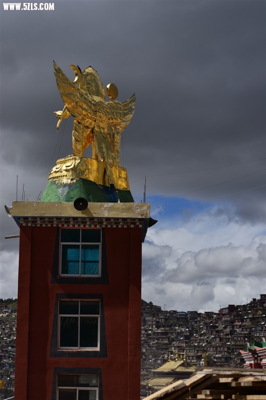 ʥءѧԺ42.jpg