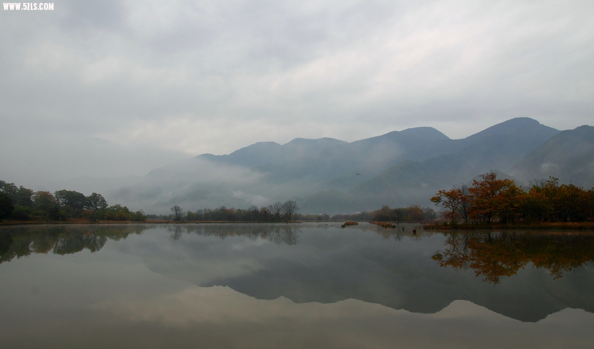 IMG_7832.jpg