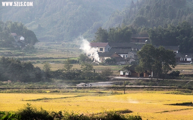 沿途乡村经黄色的稻田和袅袅的炊饮，让人想起陶渊明