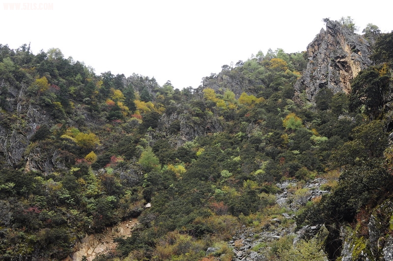 _DSC0694_С.JPG