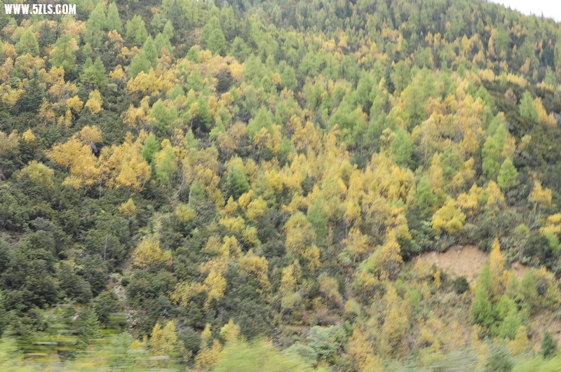 _DSC0715_С.JPG