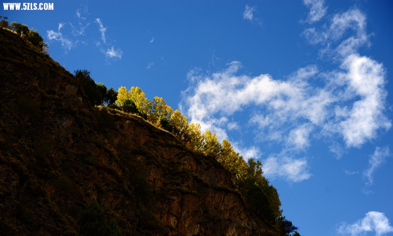 DSC_3470_1.jpg