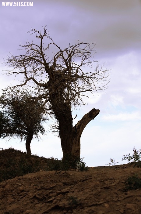 ǰֵ·2.jpg