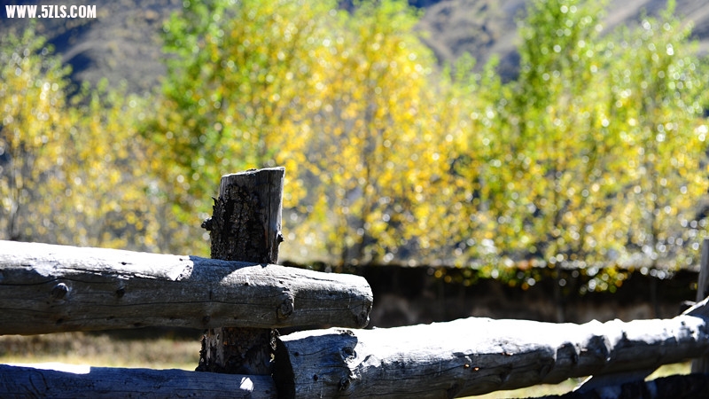 DSC_3433_.jpg