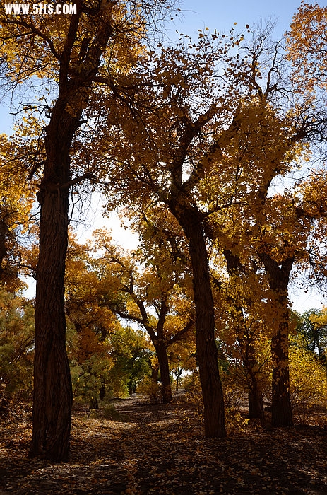 DSC_0268.JPG