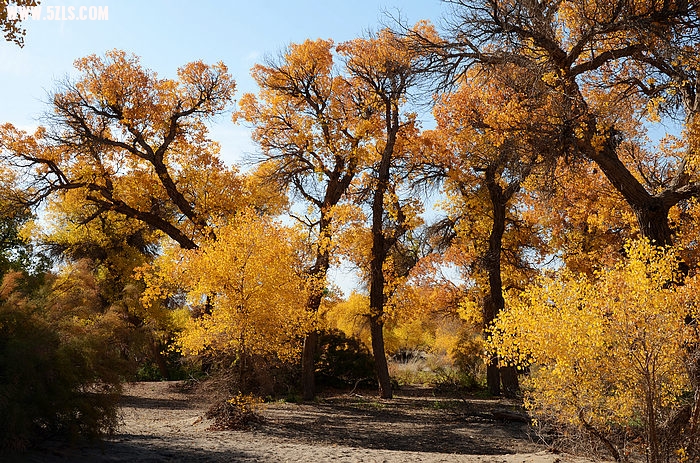 DSC_0284.JPG