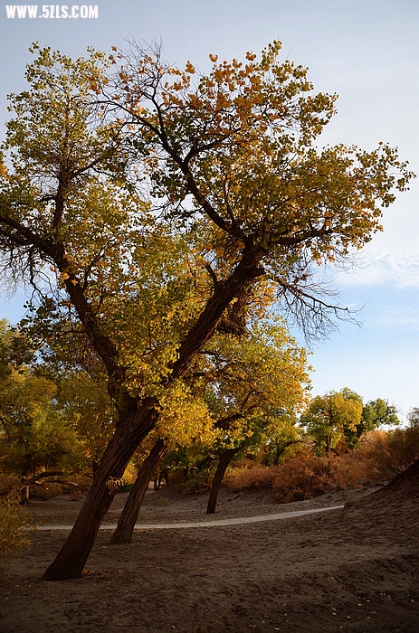 DSC_0325.JPG