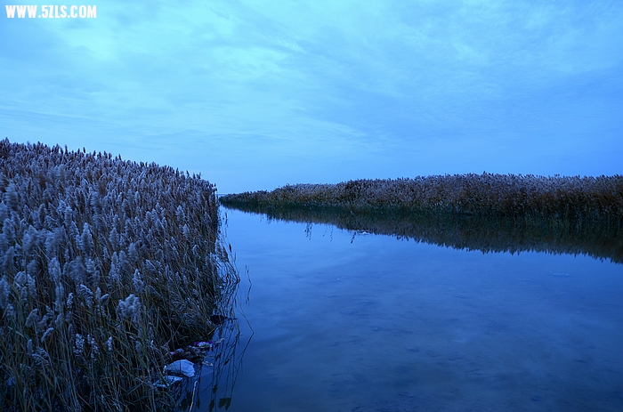 DSC_0411.JPG