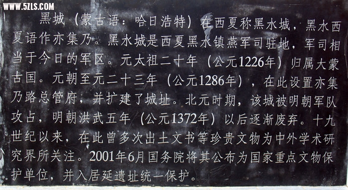 IMGP4919.jpg