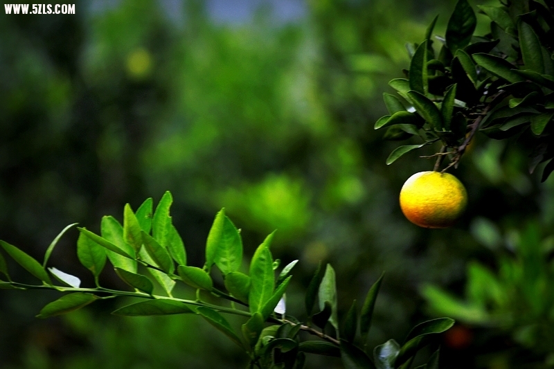 nEO_IMG__MG_0176.jpg