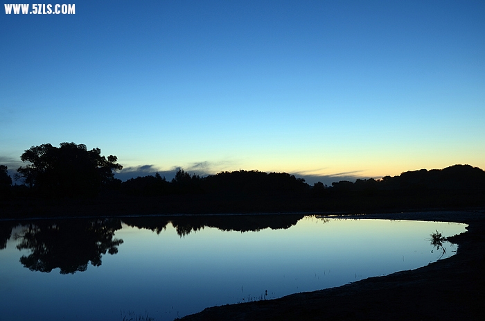 DSC_0604.JPG