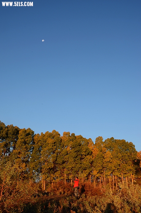DSC_0648.JPG
