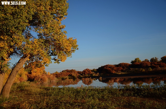 DSC_0670.JPG