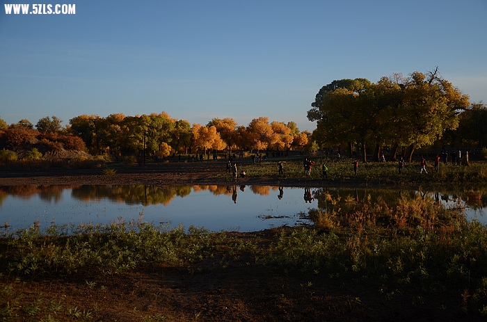 DSC_0671.JPG