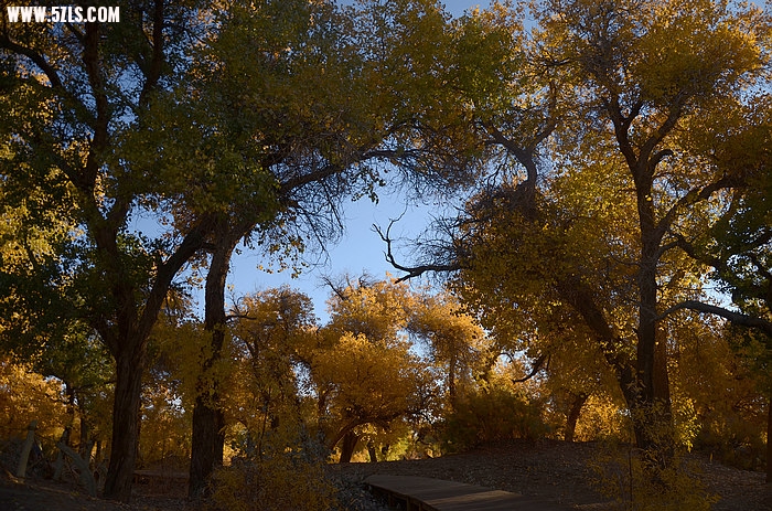 DSC_0691.JPG