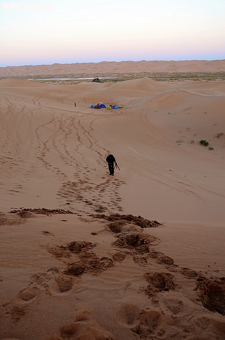 DSC_0731.jpg