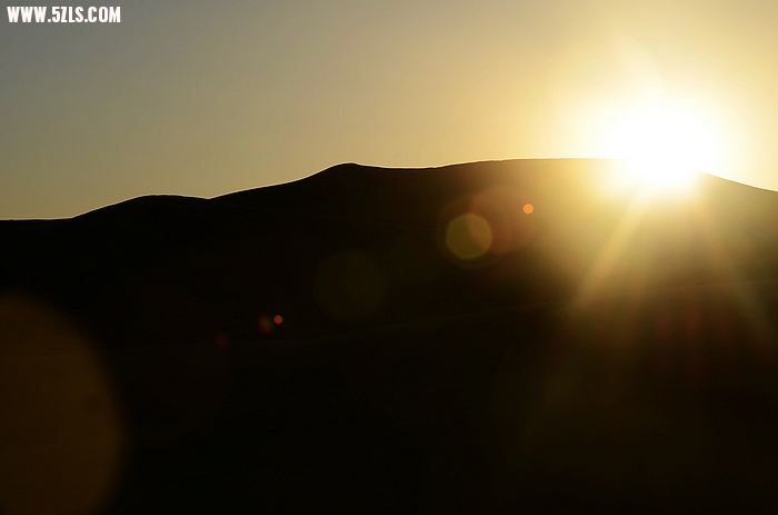 DSC_0767.jpg