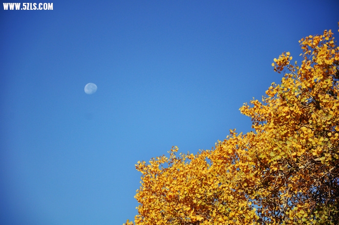 DSC_4897.jpg
