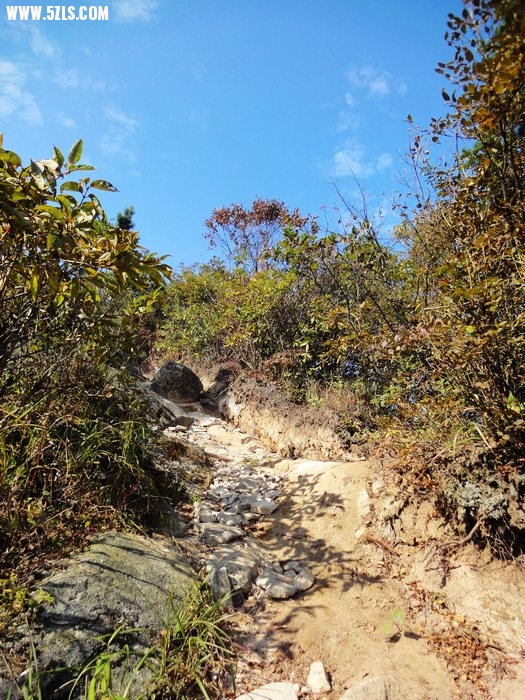 DSC08047.jpg