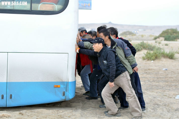 DSC_4348_1.jpg