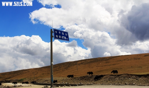 nEO_IMG_IMG_4554-1.jpg