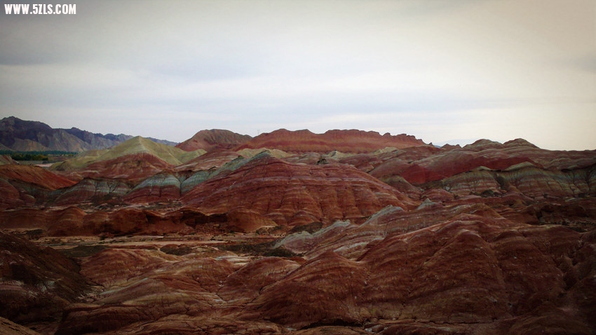 P1150887_.jpg