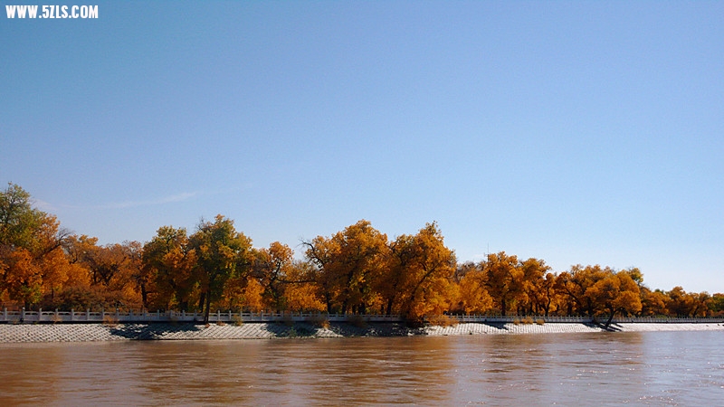 P1160097_.jpg