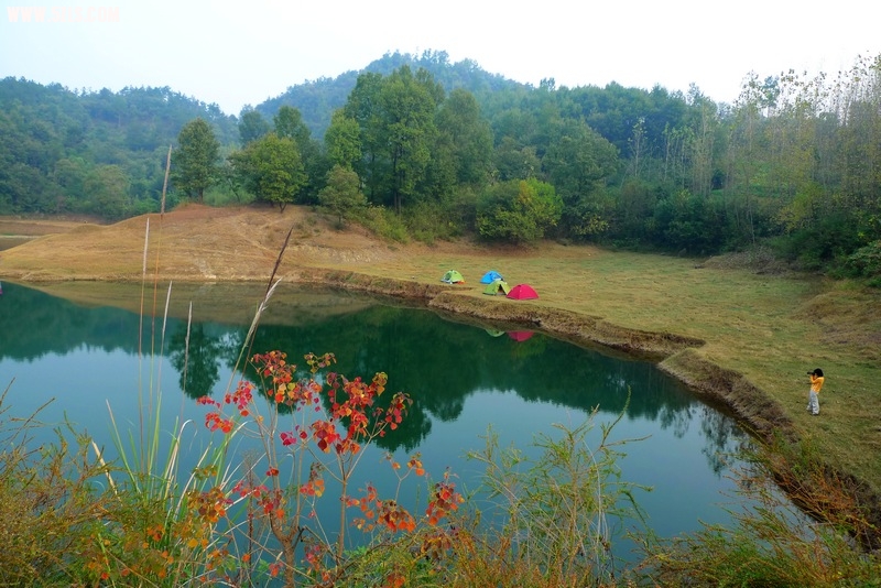 P1390430.jpg