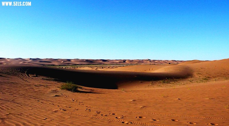 P1160131___.jpg