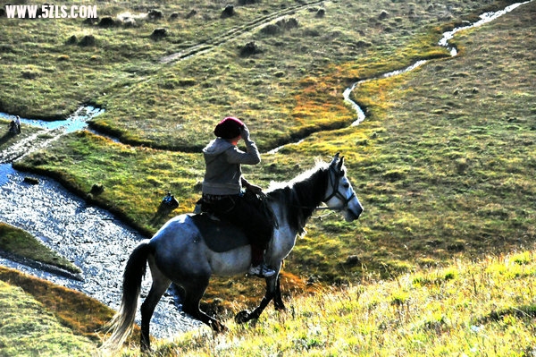 DSC_0134.JPG
