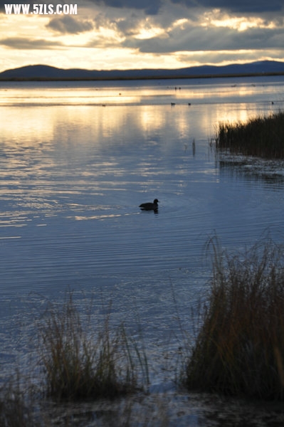 DSC_0396.JPG