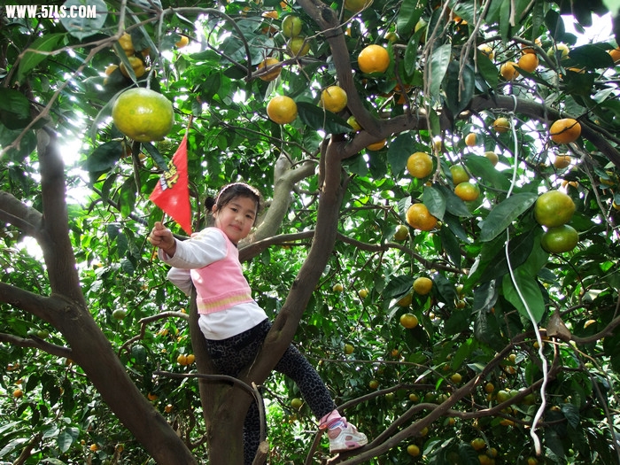 DSCF7456.JPG