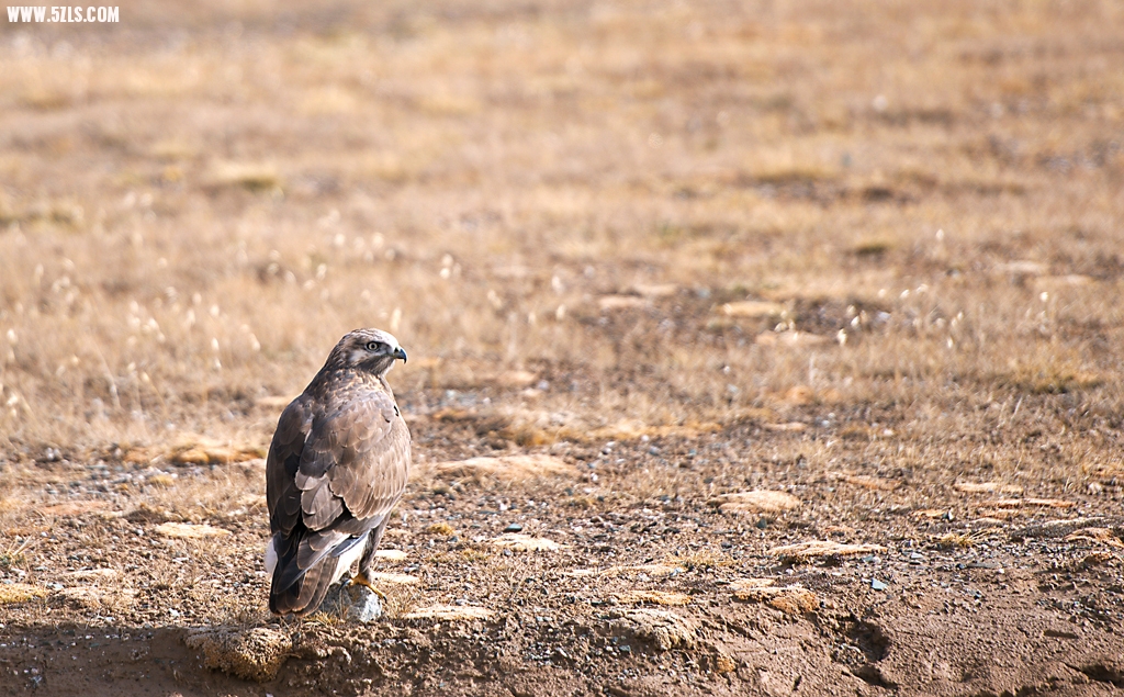 DSC_0362.jpg
