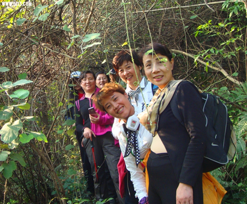 DSC08541_.jpg