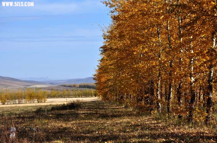 DSC_0506.jpg