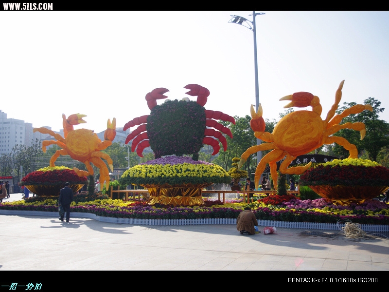 IMGP7631.jpg