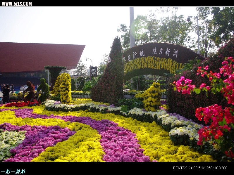 IMGP7635.jpg