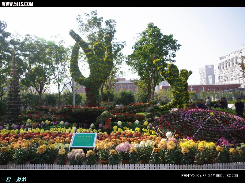 IMGP7641.jpg