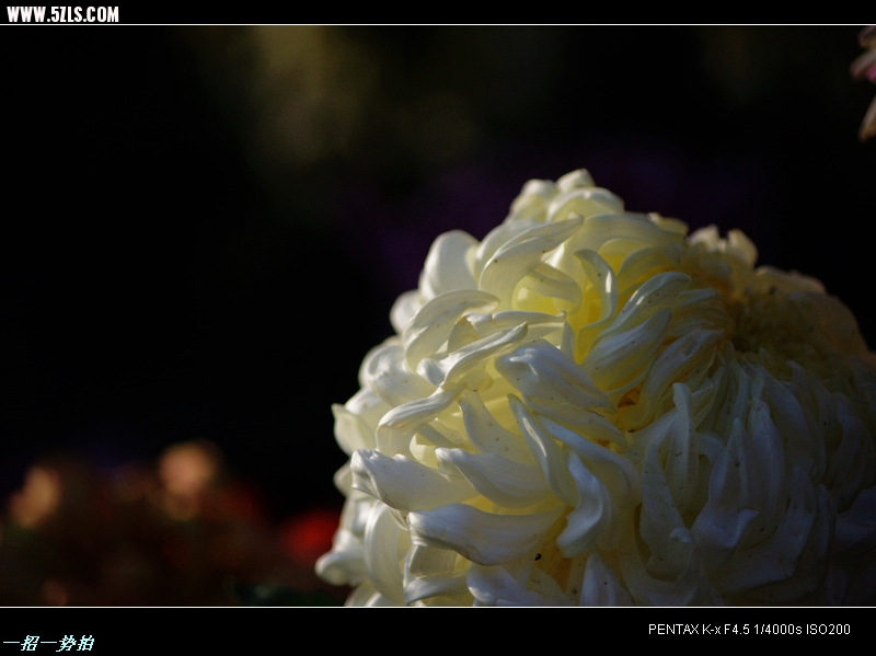 IMGP7679.jpg