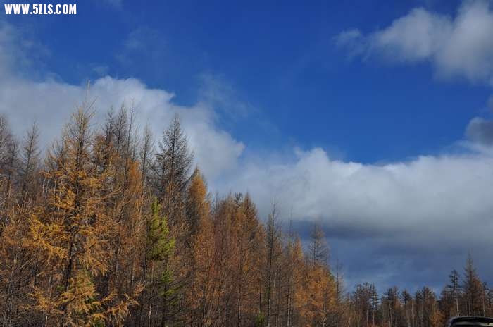 DSC_1081.jpg