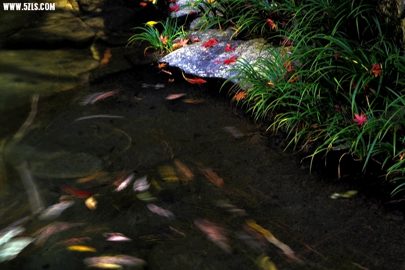_MG_1140.jpg