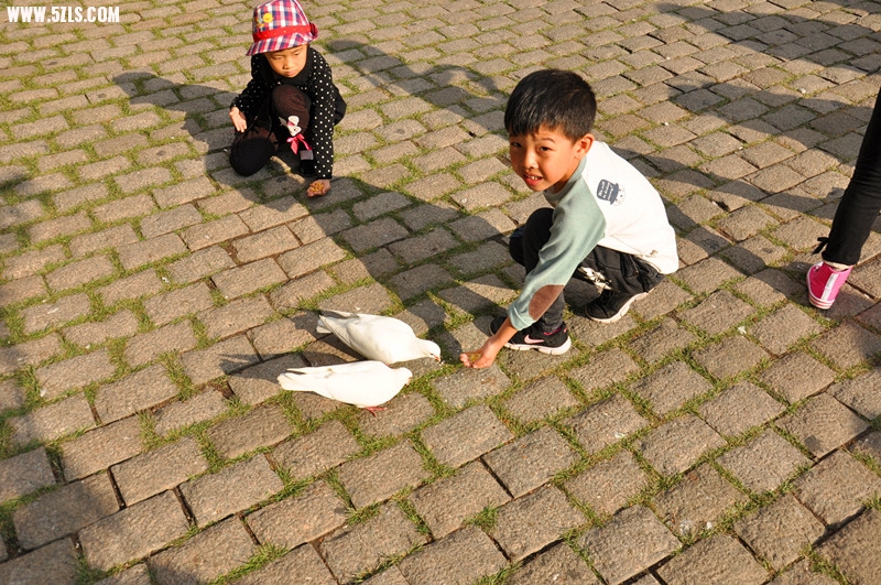 DSC_0698_副本.jpg