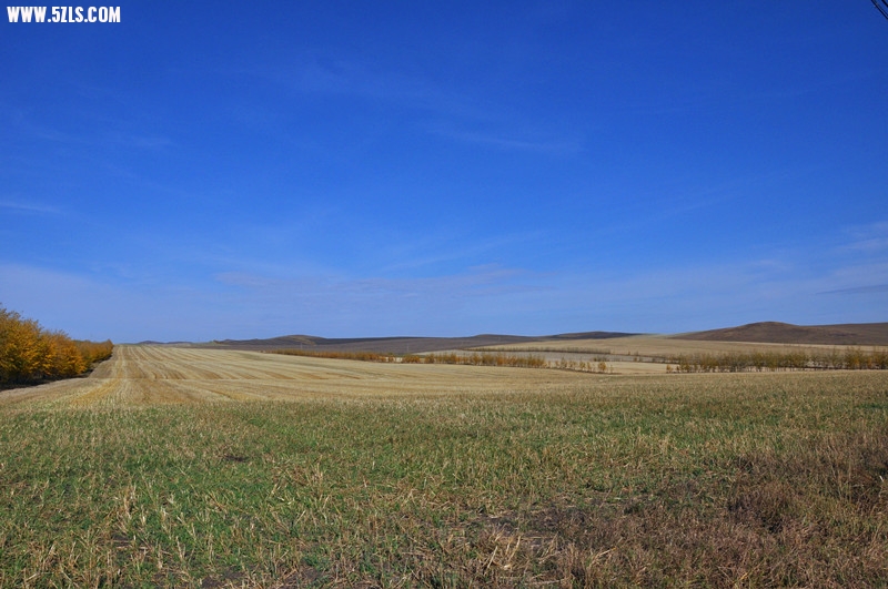 DSC_0793_副本.jpg