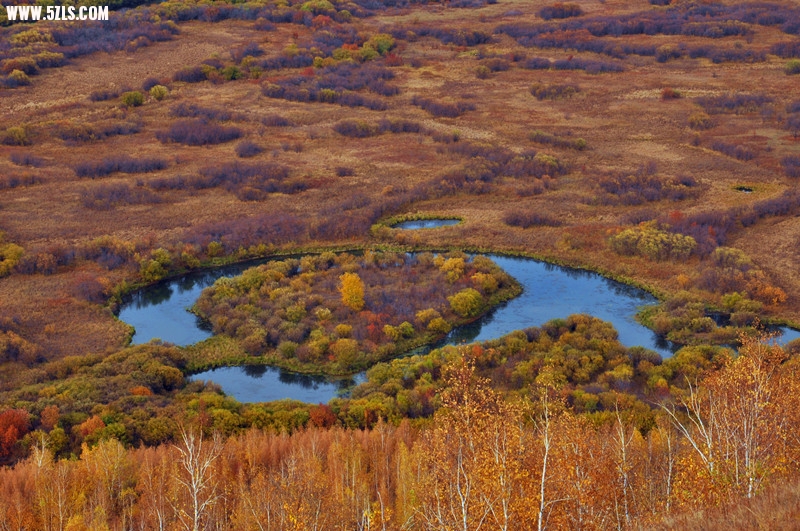 DSC_0847_副本.jpg