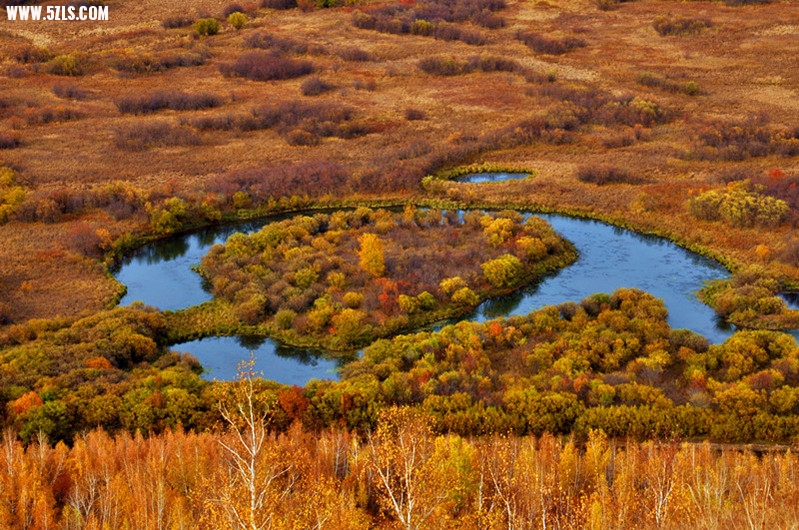 DSC_0855_副本_副本.jpg