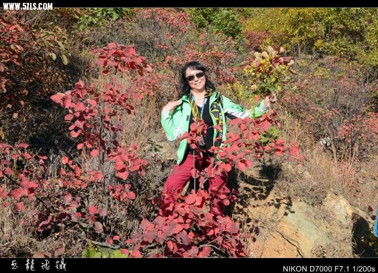 DSC_6080_conew1.jpg