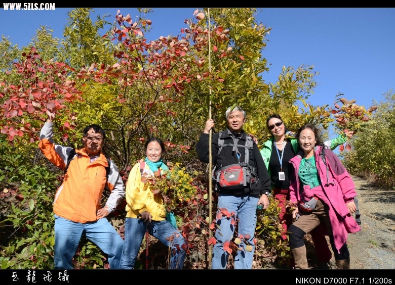 DSC_6097_conew1.jpg