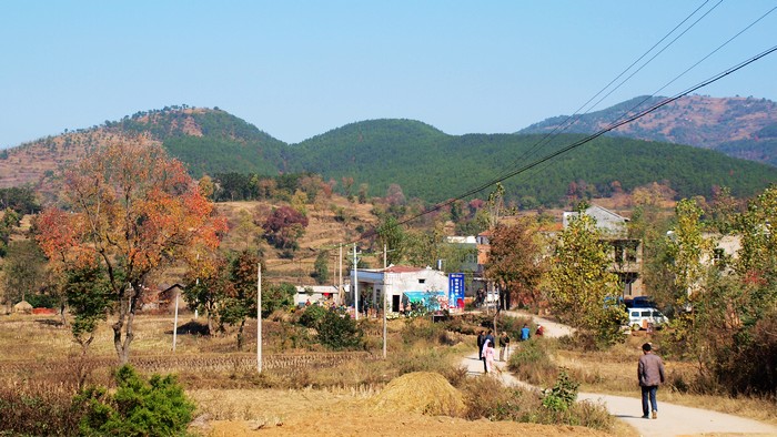PB060212.jpg
