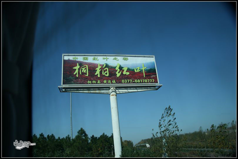 IMG_9150xg.jpg