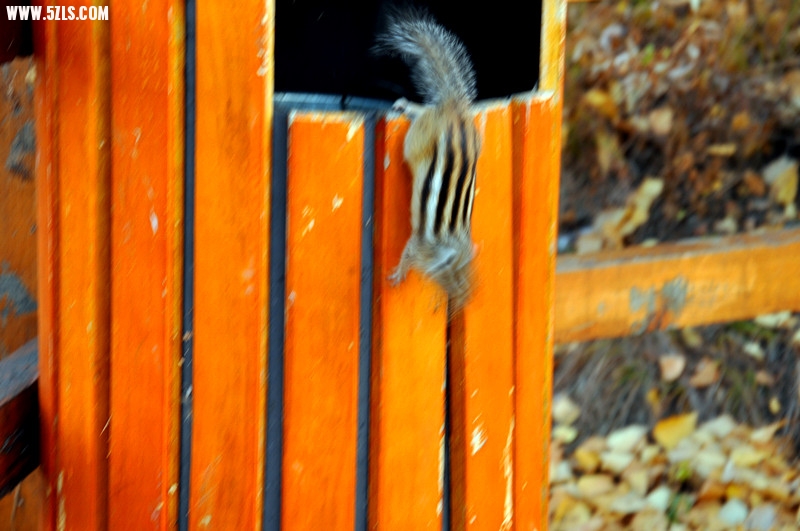 DSC_0924_.jpg